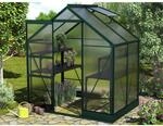 Vitavia Gew&auml;chshaus Apollo 2500 HKP 4 mm Smaragd