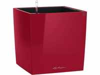 Lechuza Pflanzgefäß Cube Premium 30 cm x 30 cm Scarlet Rot hochglanz