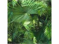 Bricoflor 3D Palmentapete Grün Palmenblätter Tapete Dunkelgrün Ideal für