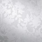 d-c-fix Klebefolie Spring Transparent 67,5 cm x 150 cm