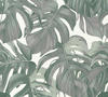 Bricoflor Monstera Tapete Weiß Grün Vlies Palmentapete im Tropical Stil Ideal für