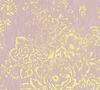 Bricoflor Florale Tapete Rosa Gold Blumen Textiltapete mit Metallic Effekt in