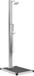 vidaXL Gartendusche mit Bodenelement WPC Edelstahl 3051286