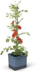 Gusta Garden Anzuchtgef&auml;&szlig; Tom Tomato 20 L blau
