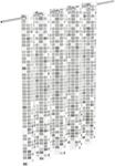 Eisl Textil Duschvorhang mit Motiv Mosaik Grau 180 cm x 200 cm Waschbar