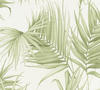 Bricoflor Farn Tapete Weiß Grün Palmenblätter Vliestapete Modern Ideal für
