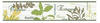 Bricoflor Kräuter Tapeten Bordüre in Grün Schriftzug Küchentapete als