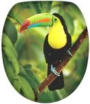 Sanilo WC Sitz mit Absenkautomatik Toucan, Hochwertiger und Stabiler Toilettendeckel