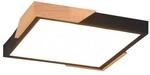 Reality LED-Deckenleuchte Meta 1-flammig Schwarz Matt 31,5 cm x 31,5 cm