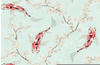 Bricoflor Koi Tapete mit Kirschblüten Asiatische Tapete mit Fisch Design Ideal...