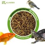 Klasebo 2 Liter Soldatenfliegenlarven 5kg Ganze Getrocknete Hermetia Illucens