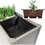 Biohort Pflanzeinsatz Pflanzbeet Belvedere 3 St&uuml;ck