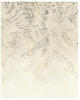 Komar Vliesfototapete Herbarium 200 cm x 250 cm