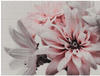 Bricoflor Rosa Tapete Mit Blume Digitaldruck Vliestapete Mit Dahlie 3D Fototapete Mit
