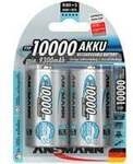 10000mAh NiMh Professional, Akku