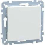 Blindabdeckung mit zentraler Abdeckplatte, Unterputz, gl&auml;nzend, Thermoplast,