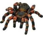 Wild Life Vogelspinne, Spielfigur