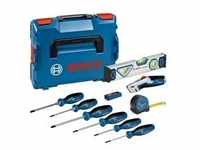 Schraubendreher- und Handwerkzeug-Set, 19-teilig, Zangen-Set - blau, L-BOXX 102