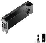 PNY NVIDIA RTX Pro 4000 Blackwell SFF ProBox Grafikkarte 24 GB