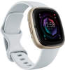 Fitbit Sense 2 Fitness-Smartwatch Nebelblau/Softgold FB521GLBM