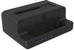 RaidSonic Icy Box IB-2914MSCL-C31 Klonstation f&uuml;r M.2 MVMe SSD 2,5" 3,5"