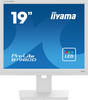iiyama ProLite B1980D-W5 48cm (19 ") SXGA TN LED-Monitor DVI/VGA Pivot 60Hz 5ms