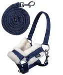 HKM Halfter & Strick f&uuml;r Hobby Horse, Set f&uuml;r Kinder, Zubeh&ouml;r f&uuml;r Steckenpferd,