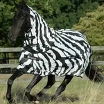 Bucas Buzz-Off Zebra Full Neck 115cm, Fliegendecke mit Halsteil, Pferdedecke