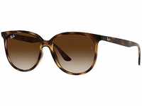 Luxottica RB-2251, Luxottica Ray-Ban RB4378 710/13 54
