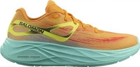 SALOMON L47279700.070, Salomon Aero Glide Laufschuhe Herren Zinna Gr. 40 2/3