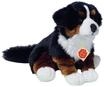 HERMANN Teddy COLLECTION&reg; Kuscheltier "Berner Sennenhund", liegend, 29 cm,