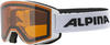 Alpina Narkoja DH Skibrille (Farbe: 111 white, Scheibe: DOUBLEFLEX (S2))