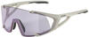 Alpina Hawkeye small Q-Lite-Varioflex Sportbrille (Farbe: 121 cool grey matt,