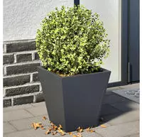 vidaXL Pflanzk&uuml;bel 2 Stk. Anthrazit 30x30x30 Stahl