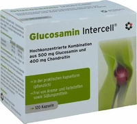 PZN-DE 09627574, INTERCELL-Pharma Glucosamin Intercell Kapseln 120 stk