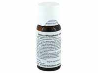 Melissa/phosphorus Comp. Dilution
