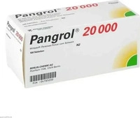 PZN-DE 04783200, BERLIN-CHEMIE Pangrol 20000 100 stk