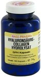 Hyalurons&auml;ure-collagen Hydrolysat Gph Kapseln