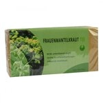 Frauenmantelkrauttee