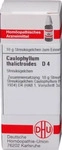 PZN-DE 02890009, DHU-Arzneimittel Caulophyllum Thalictroides D4 Globuli 10 g,