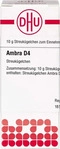 PZN-DE 02892847, DHU-Arzneimittel Ambra D4 Globuli 10 g, Grundpreis: &euro; 979,- /
