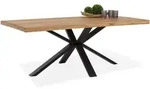 Esstisch Egil (LBH 200x100x78 cm) - braun - LBH 200x100x78 cm