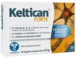Keltican forte Kapseln