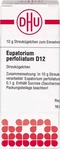 PZN-DE 02898465, DHU-Arzneimittel Eupatorium Perfoliatum D12 Globuli 10 g,