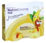 Nutrini Creamy Fruit Sommerfr&uuml;chte