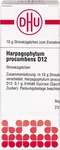 PZN-DE 07169251, DHU-Arzneimittel Harpagophytum Proc. D12 Globuli 10 g, Grundpreis: