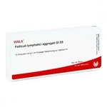 Folliculi Lymphatici aggregati Gl D5 Ampullen