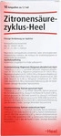 PZN-DE 06156039, Biologische Heilmittel Heel Zitronens&auml;urezyklus Heel Ampullen 10