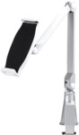 Neomounts by NewStar Anti-Theft Tablet Desk Stand (TABLET-D100SILVER)