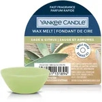 YANKEE CANDLE Wax Melt SAGE & CITRUS 22 g Duftwachs